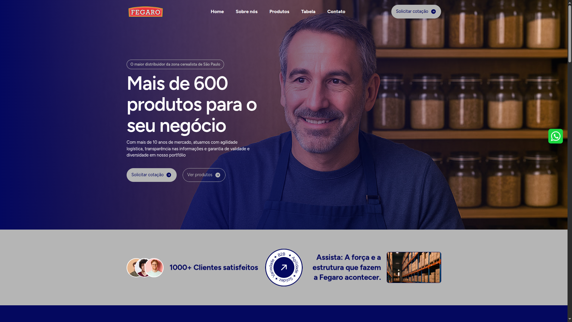Print do site desenvolvido para a Fegaro